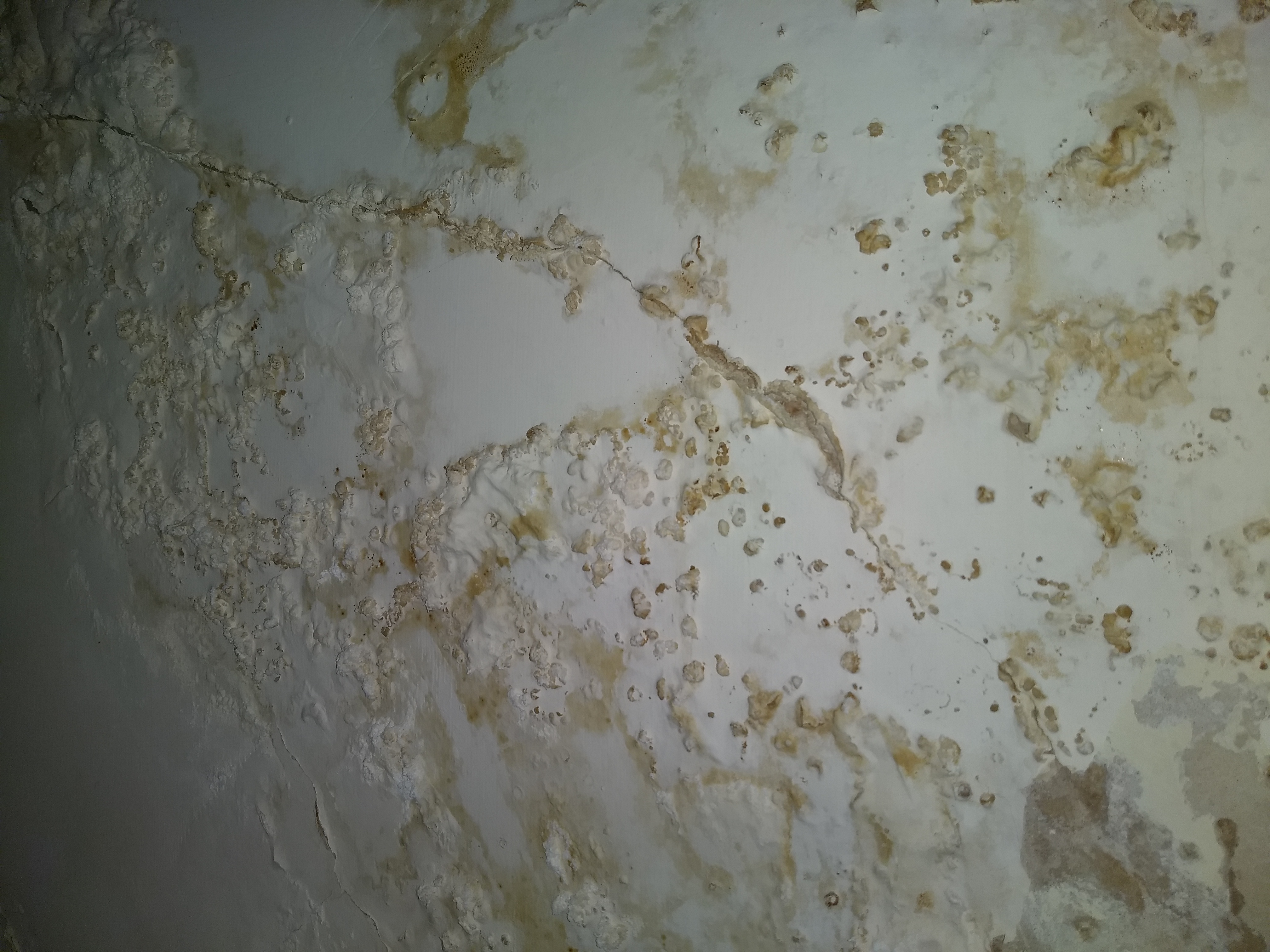 Moisture staining and salt activity across the church wall before repair