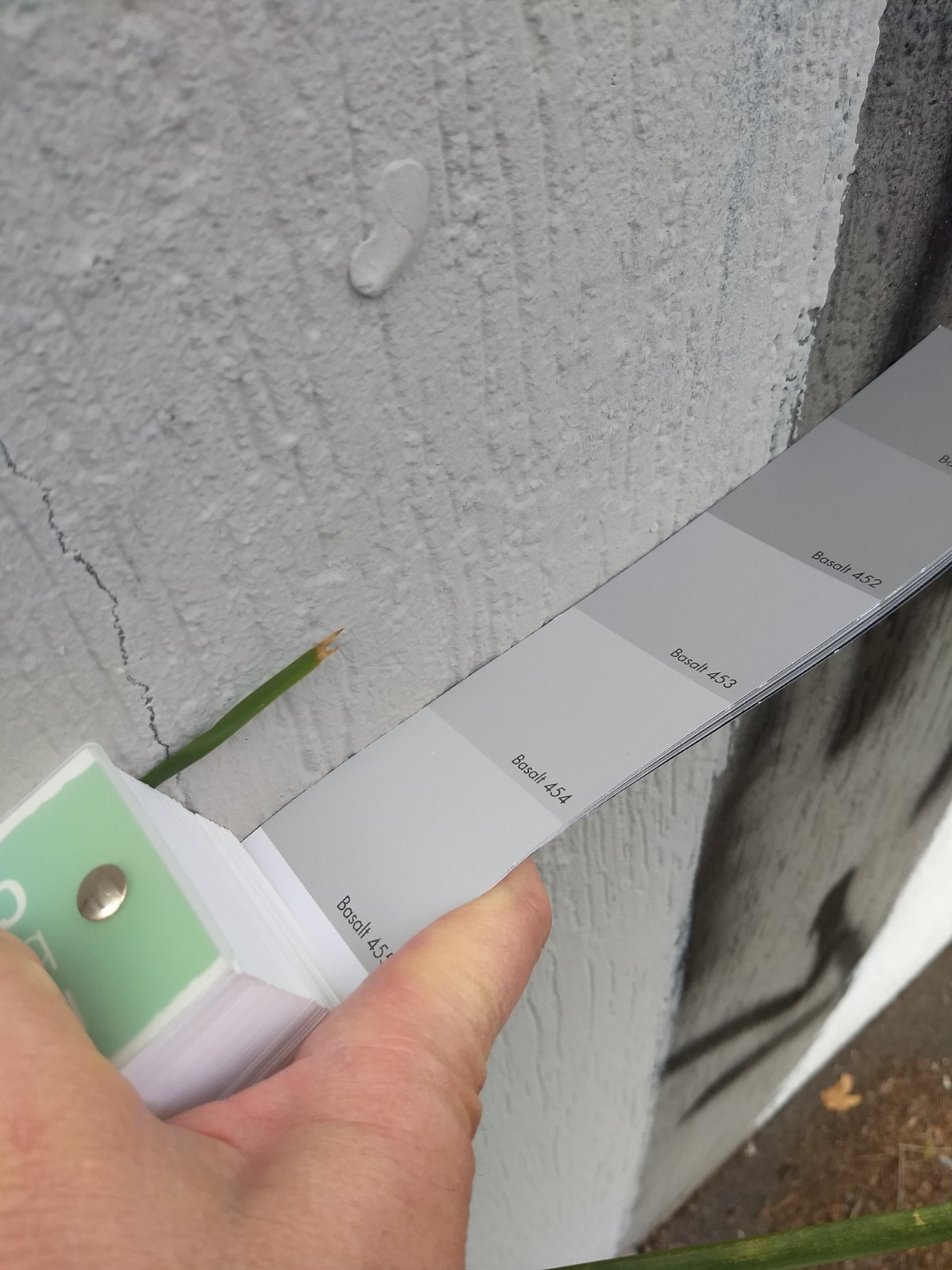 Grey colour samples compared against the wall finish